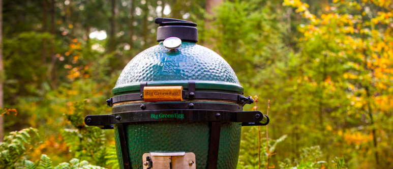 petit barbecue pour l'été