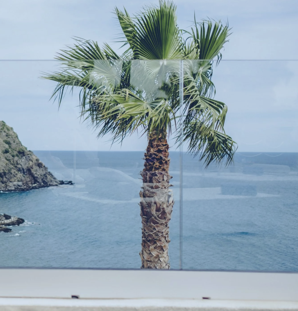 Image illustrative du produit