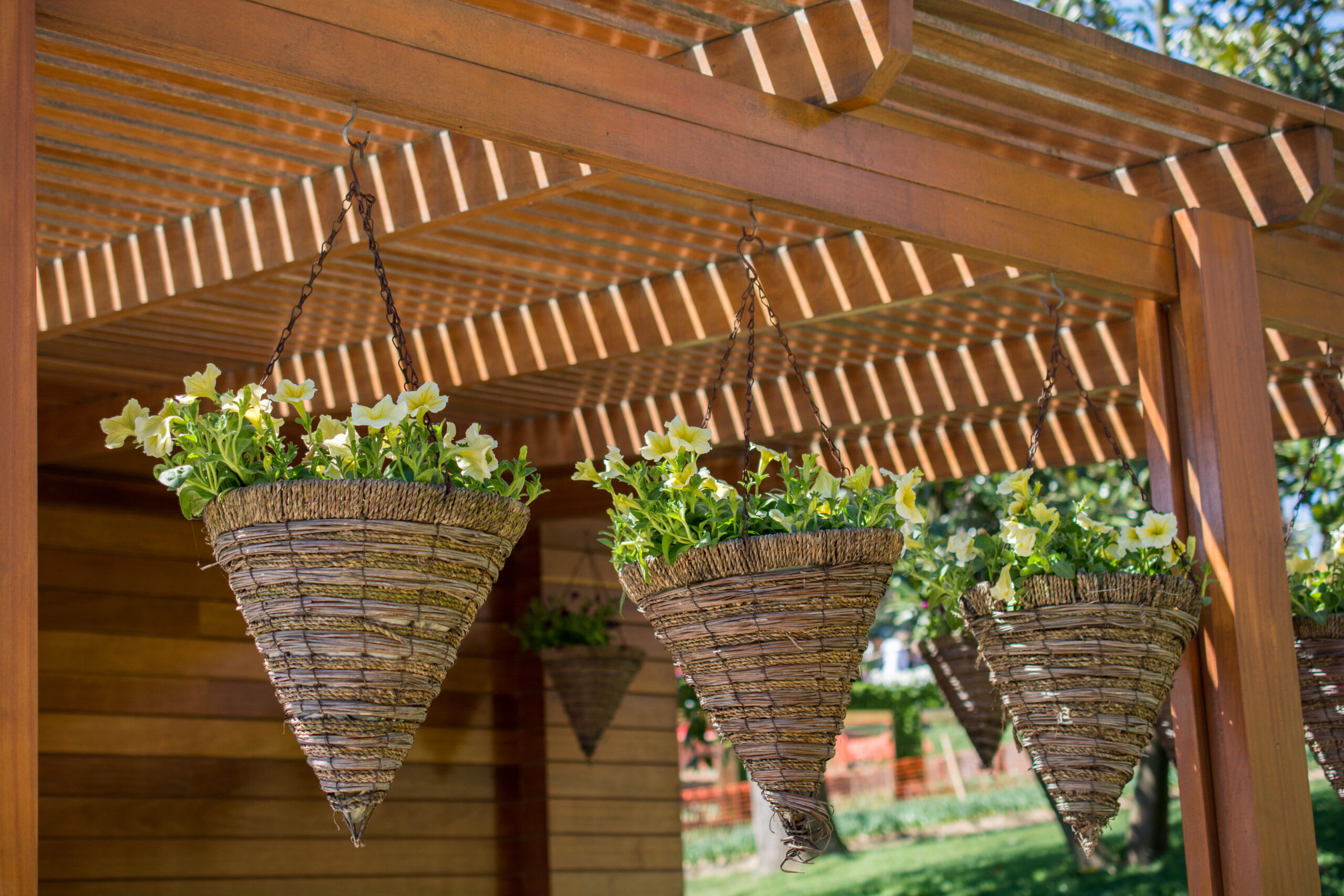 Pergola en bois durable avec suspensions fleuries intégrée dans un jardin paysager.